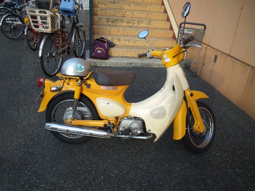 DVC00276.JPG